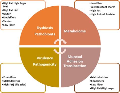 Evolving Role Of Diet In The Pathogenesis And Treatment Of Inflammatory