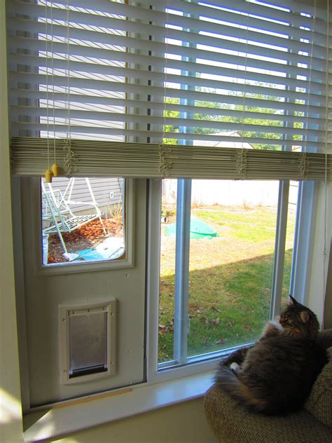 We're eco friendly and proud to use sustainable materials. Temporary Cat Door : 4 Steps (with Pictures) - Instructables