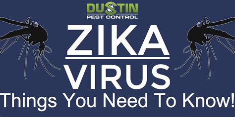 Zika Virus Things You Need To Know Infographic
