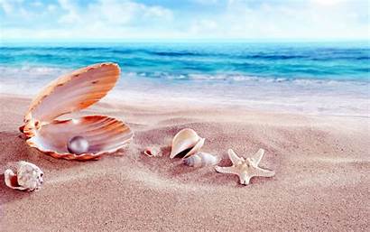 Shells Beach Sea Pearls Wallpapers Sandy Shell
