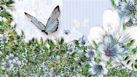 Blue Butterfly Hd Wallpaper 70 Images