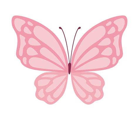 Pink Butterfly Vector Png