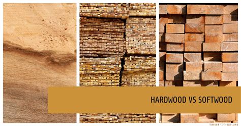Hardwood Vs Softwood All You Need To Know