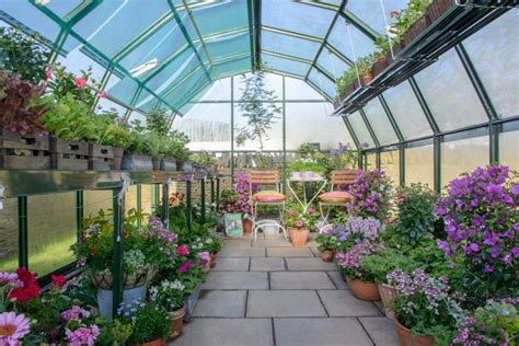 Why Do Plants Grow Better In A Greenhouse By Jean Vernon