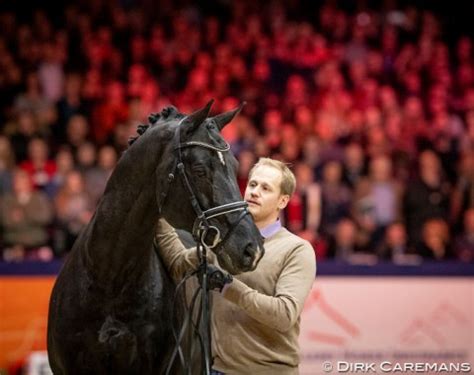 Edward gal and glock's total u.s. Totilas Reunited with Dutch Fans at 2019 KWPN Stallion ...