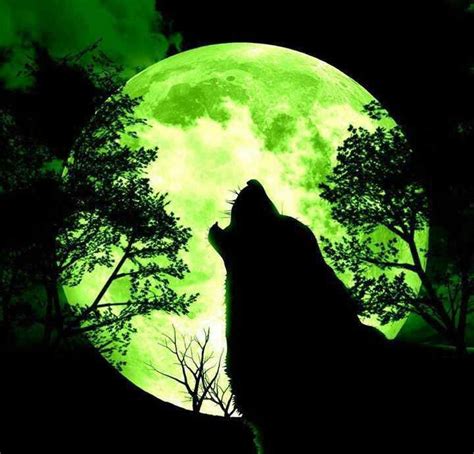 Green Moon Moon Pictures Wolf Pictures Green Moon