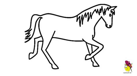 Cartoon Horses Drawing At Getdrawings Free Download