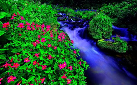Dream Spring 2012 Spring Flow Wallpapers Hd Wallpapers