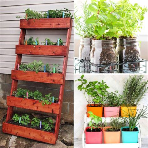 Easy Kitchen Herb Garden Ideas 2023 Atonce