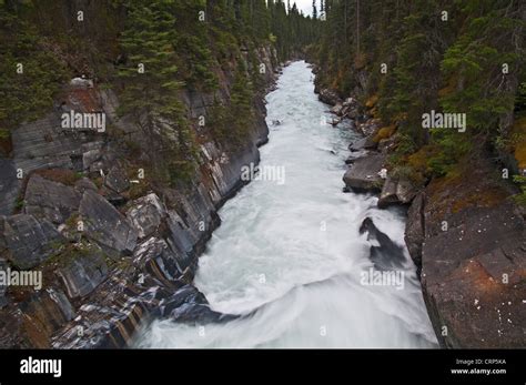 Numa Falls Down Stream Vermillion River Kootenay National Park