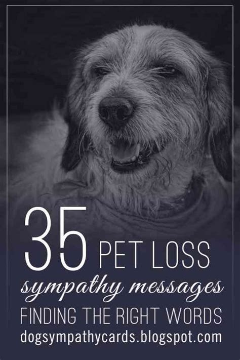 Condolence messages and quotes for death of a cat, dog, bird, rabbit, reptile and some other pet as well. Best 25+ Pet sympathy quotes ideas on Pinterest | Pet ...