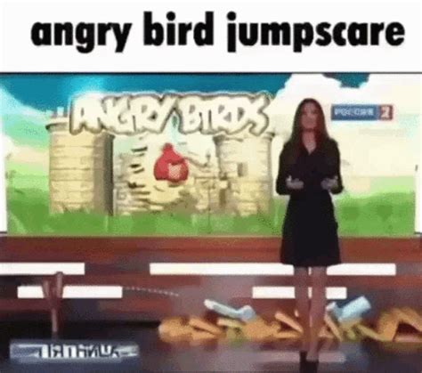 Angry Birds  Angry Birds Discover Share S My Xxx Hot Girl