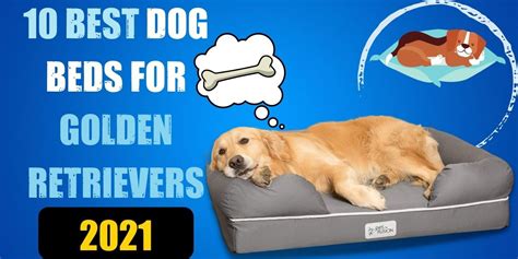 10 Best Dog Beds For Golden Retrievers Of 2023