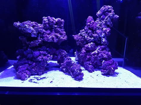 A floating reef aquascape is something that is unique and looks amazing in any tank. Real Reef Rock Aquascape (met afbeeldingen) | Rif aquarium
