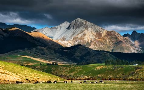 New Zealand Landscape Rock Mountain Snow Pasture With