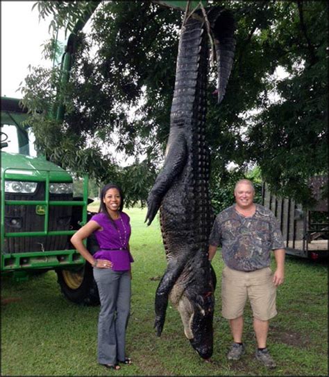 Lake Seminole Gator Sets New Record