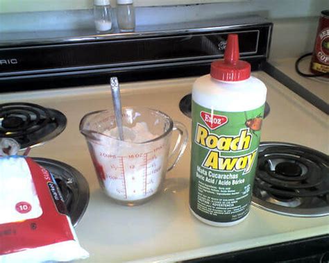 Boric acid is low in toxicity when applied to the skin. How can I get rid of roaches? - Expert Advice - Community
