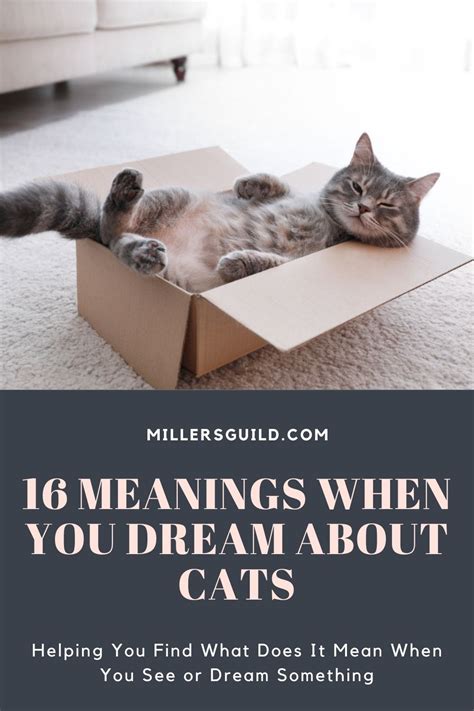 16 Meanings When You Dream About Cats