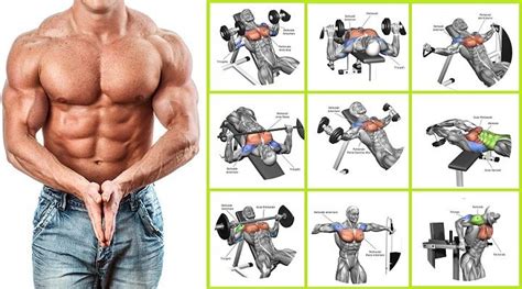 Best Exercises To Build Up A Big Chest Easy Muscle Tips