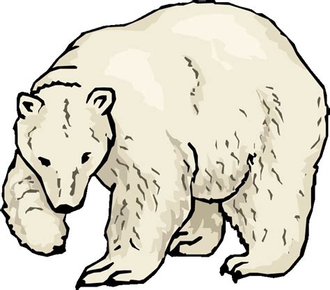 Polar Bear Clip Art 10 Free Cliparts Download Images On Clipground 2024
