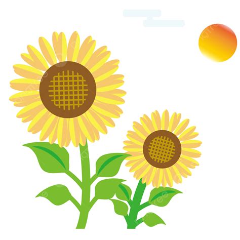 Simbol Bunga Matahari Ilustrasi Flora Vektor Bulat Ve
