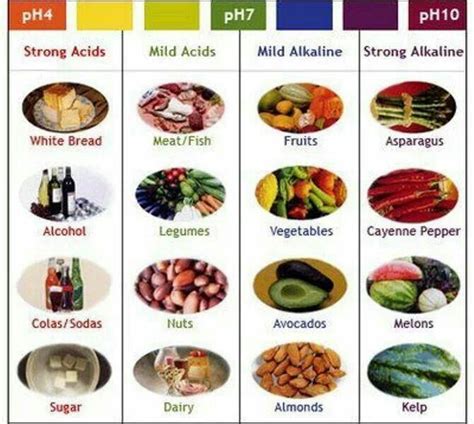 Acidic Vs Alkaline Foods Raw Food Diet Health Food Food Charts