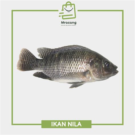 Jual Ikan Nila Seafood Segar Berat 1kg Shopee Indonesia