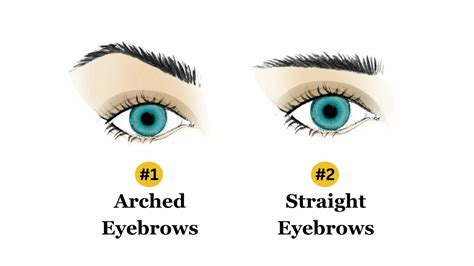 personality test your eyebrows reveal your hidden personality traits