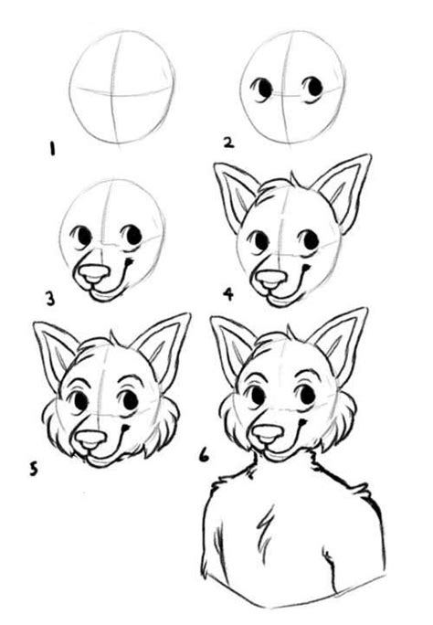 How To Draw Furry Heads How To Wiki