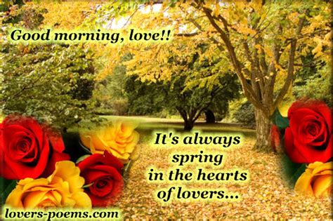 Good Morning Love Cards Mobile Wallpapers