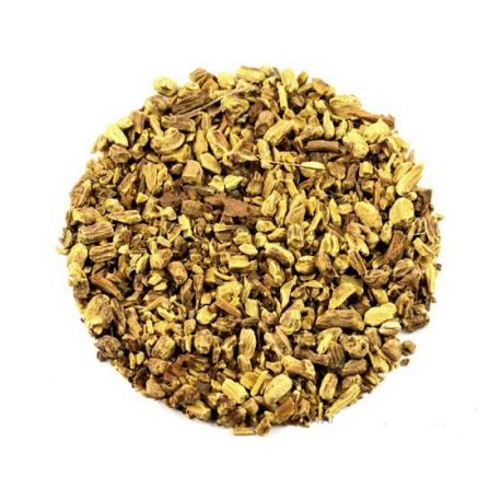 3.1 budowa anatomiczna i położenie. Tarczyca bajkalska korzeń 50g.