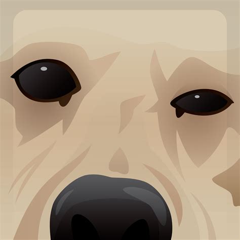 Heres a site that has every xbox 360 gamerpic that you can use when reliving the glory days. Anyone have a HD ver of the dog gamerpic from xbox 360? : xboxone