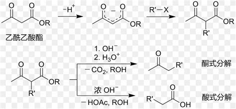 Acetoacetic Ester Synthesis Ethyl Acetoacetate Acetoacetic Acid Ethyl