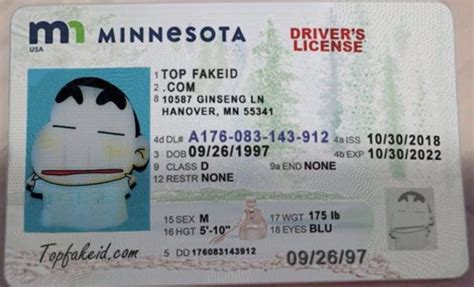 Nearly 24 percent of minnesota driver's license and id cardholders have a real id or enhanced driver's license as the federal real id full enforcement deadline approaches. Minnesota ID - Buy Scannable Fake ID - Premium Fake IDs