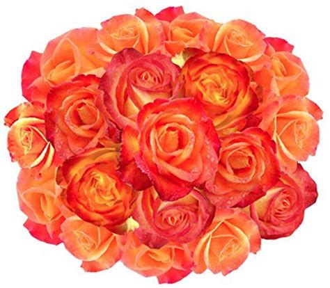 We deliver flowers for any occasion and offer a wide variety of fresh flowers and gifts. Does Amazon Deliver Fresh Flowers? / Amazon Com Floral ...