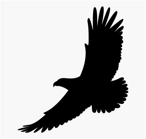 Bird Drawing White Tailed Eagle Bald Eagle Hawk Soaring Clip Art