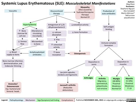 Systemic Lupus Erythematosus Sle Musculoskeletal Manifestations