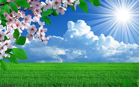 Spring Flower Landscape Wallpapers Top Free Spring Flower Landscape