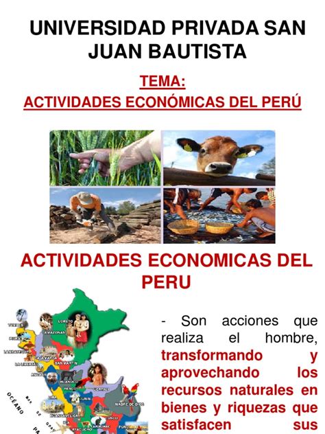 Actividades Economicas En El Peru