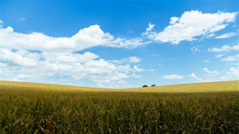 Download 3840x2160 Cropland Agriculture Field Clouds Sky Rural