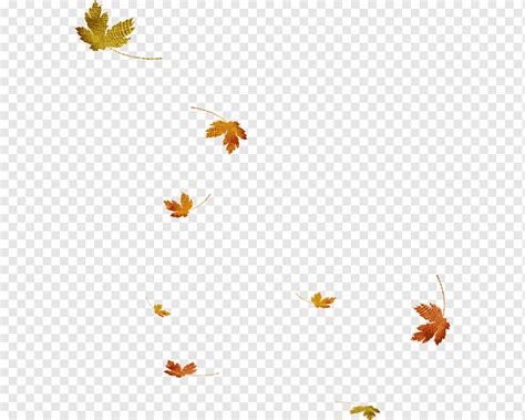 Осень Фото Красивые Листья Летящие Telegraph