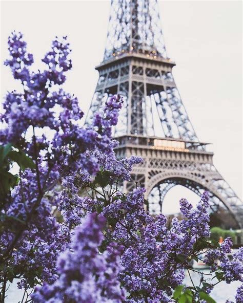 Eiffel Purple Paris Wallpaper Eiffel Tower Paris