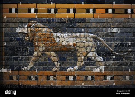 Babylons Lion Lion Decorated The Processional Wall Ishtar Gate 575