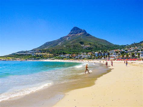 Top 60 Sandy Bay Cape Town Stock Photos Pictures And Images Istock