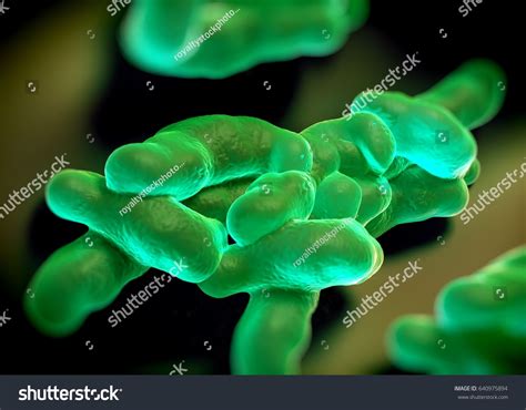 3d Rendering Campylobacter Jejuni Bacteria Stock Illustration 640975894