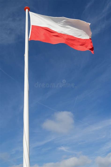 Polish Flag Stock Photos Download 9649 Royalty Free Photos
