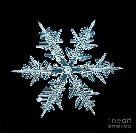 Snowflake Isolated Natural Crystal Photograph By Kichigin Fine Art