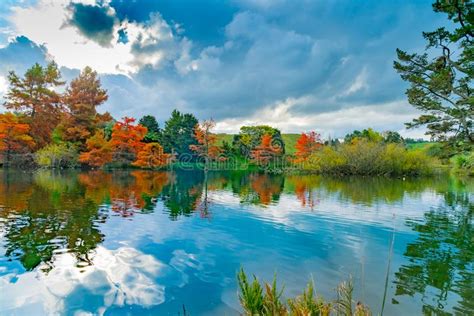 Late Afternoon Autumn Colours Over Lake Stock Photo Image Of
