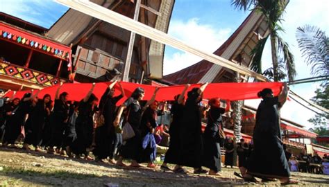 Melihat Ritual Ma Pasonglo Upacara Pemakaman Suku Toraja Foto Tempo Co