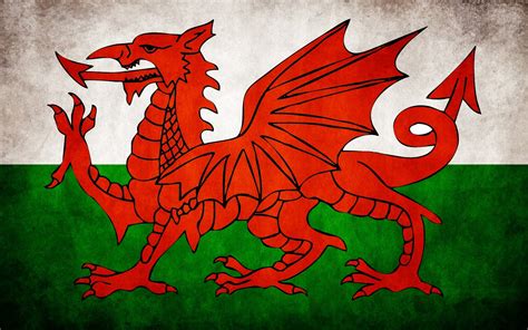 We've gathered more than 5 million images uploaded by our users and sorted them by the most popular ones. 42+ Welsh Flag Wallpaper on WallpaperSafari